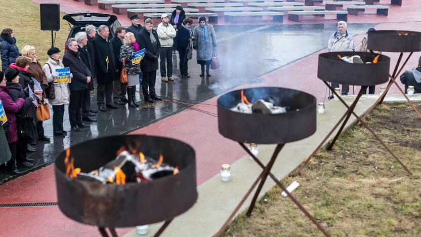 Ukrainos palaikymo akcija