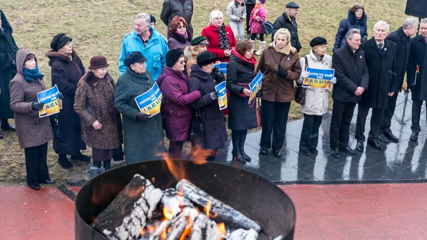 Ukrainos palaikymo akcija