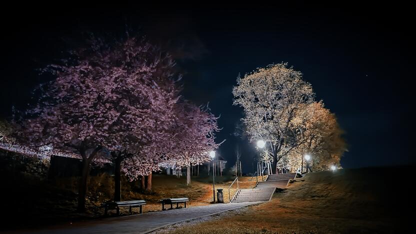 A. Verygos fotografijų paroda