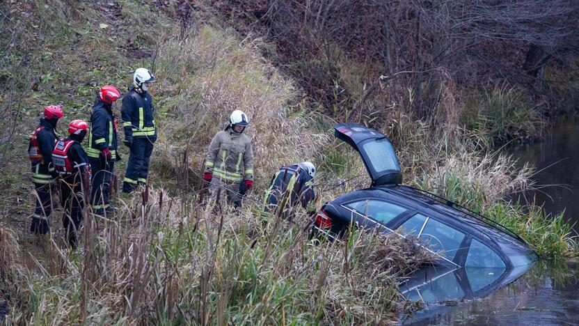 Į upę ties Grigiškėmis įlėkė automobilis