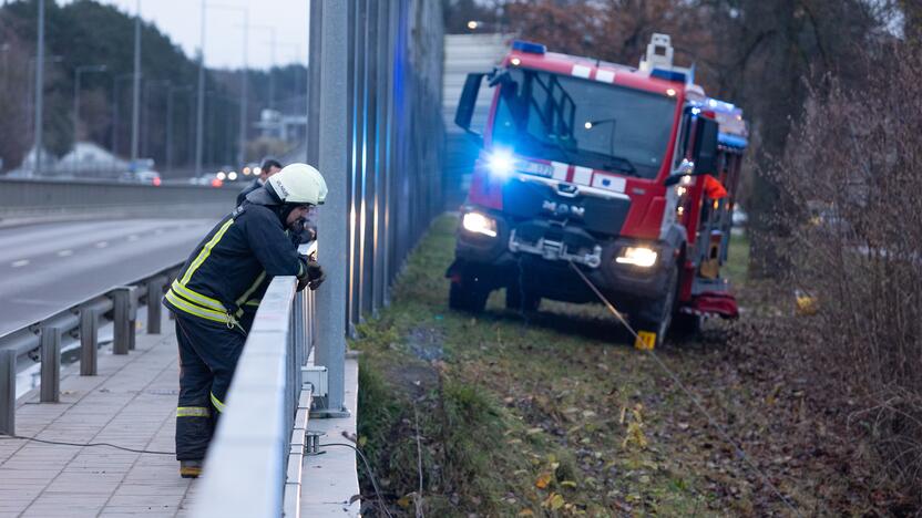 Į upę ties Grigiškėmis įlėkė automobilis