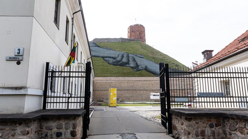  Prancūzų menininko Saype freska ant Gedimino kalno