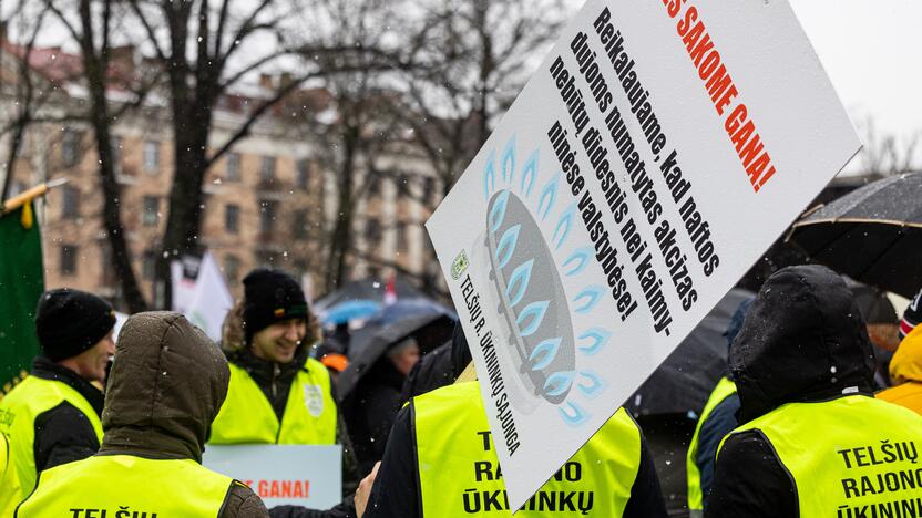 Vilniuje tęsiasi žemdirbių mitingas