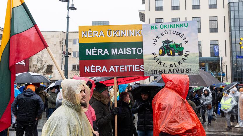 Vilniuje tęsiasi žemdirbių mitingas