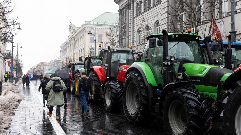 Vilniuje tęsiasi žemdirbių mitingas