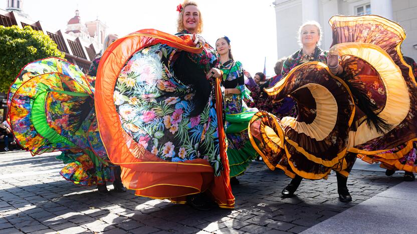 Kasmetinė tarptautinio romų festivalio „Gypsy Fest“ eisena