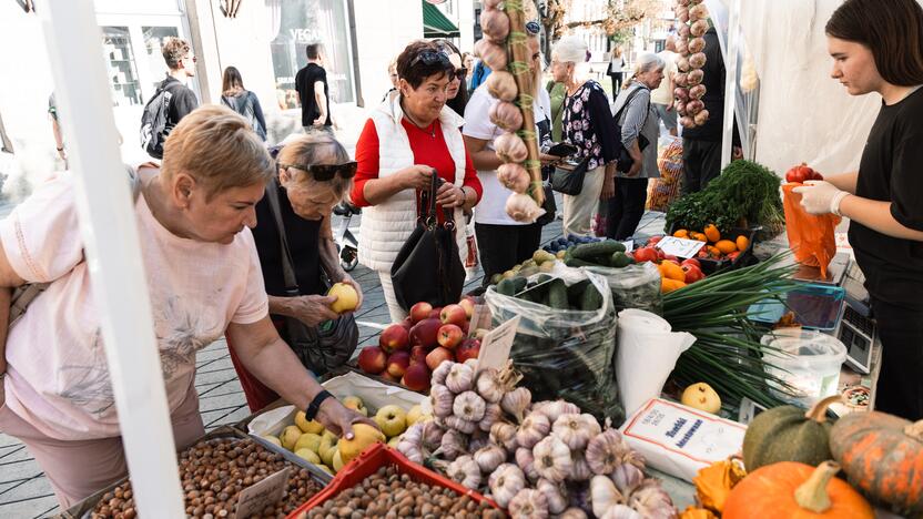 Laisvės alėjoje šurmuliuoja Rudens mugė (2024)