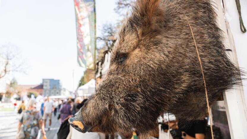 Laisvės alėjoje šurmuliuoja Rudens mugė (2024)