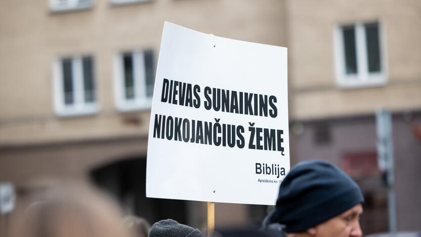 Prie Seimo – protestas dėl plynųjų miškų kirtimų