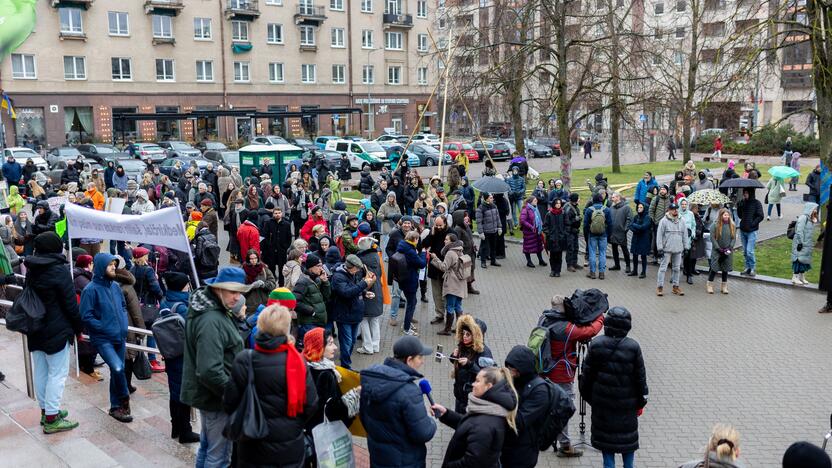 Prie Seimo – protestas dėl plynųjų miškų kirtimų