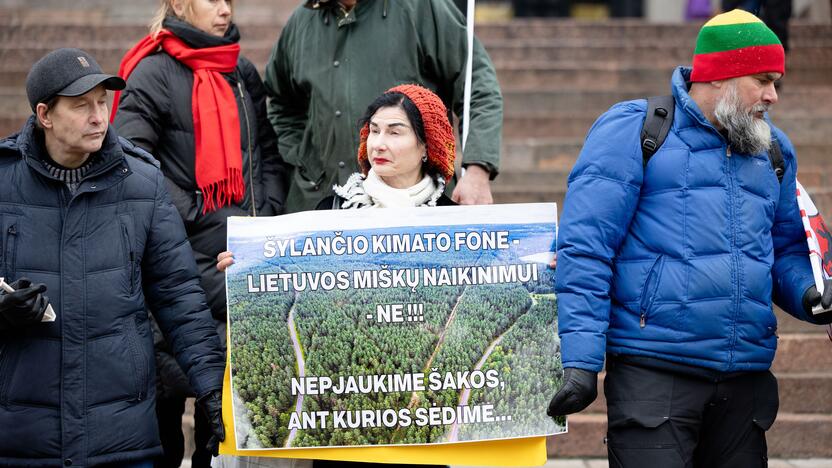 Prie Seimo – protestas dėl plynųjų miškų kirtimų