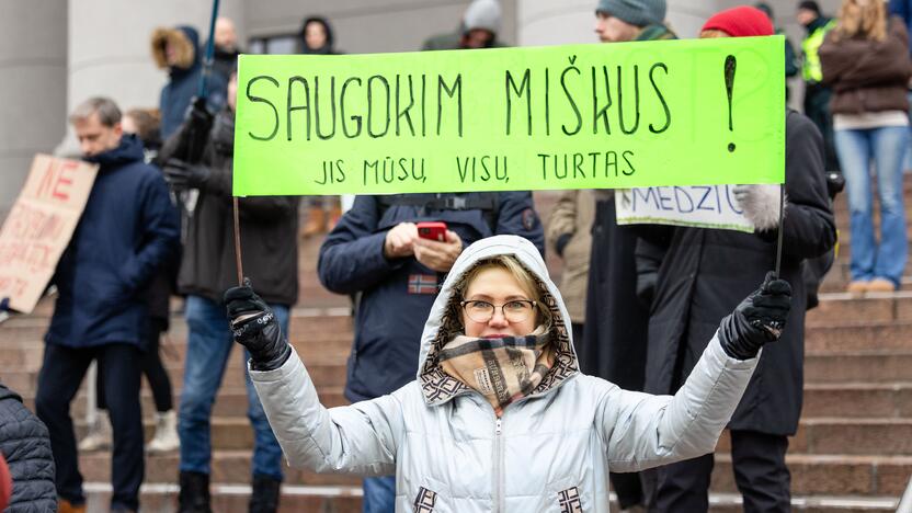 Prie Seimo – protestas dėl plynųjų miškų kirtimų