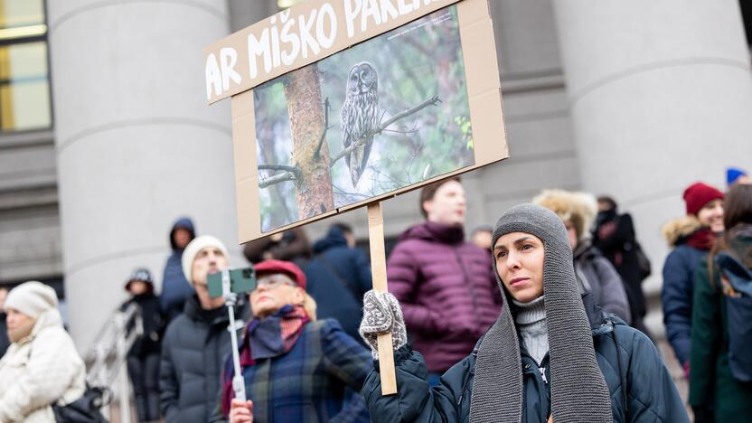 Prie Seimo – protestas dėl plynųjų miškų kirtimų