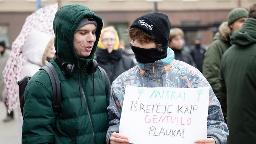 Prie Seimo – protestas dėl plynųjų miškų kirtimų