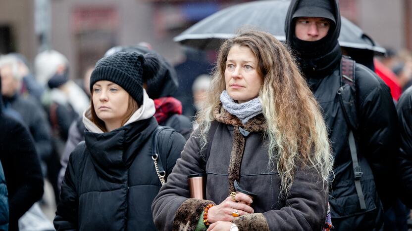 Prie Seimo – protestas dėl plynųjų miškų kirtimų