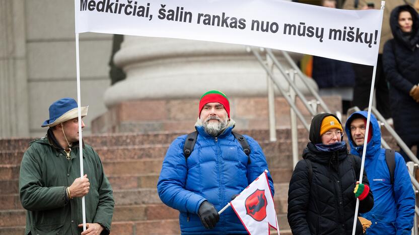 Prie Seimo – protestas dėl plynųjų miškų kirtimų