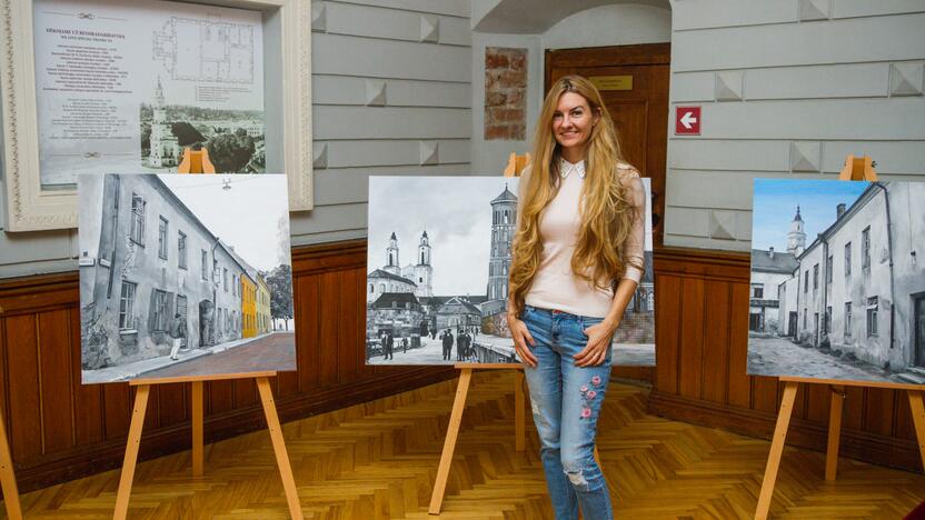 Veikla: R. Bruder Kaunui linkėtų šiuolaikinio meno muziejaus-galerijos.