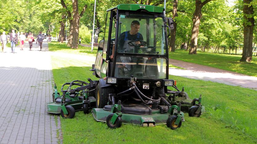 Sezonas: nors pavasaris šiemet buvo vėsokas, žolė auga labai sparčiai. Klaipėdoje viešieji plotai šienaujami jau trečią savaitę.