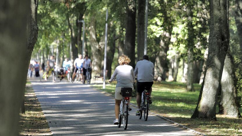 Takai: rudenį Palangoje patogu minti dviračius.