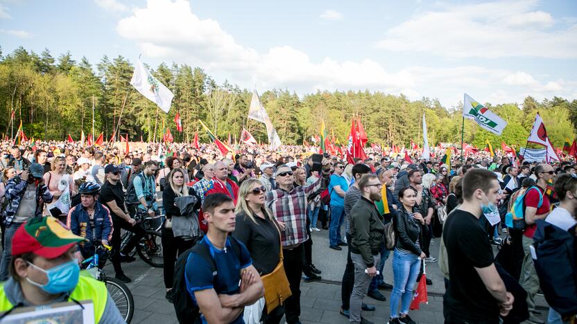 „Didysis šeimos gynimo maršas“ Vingio parke