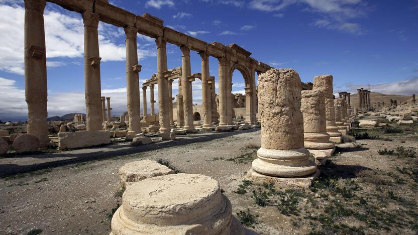 Palmyra