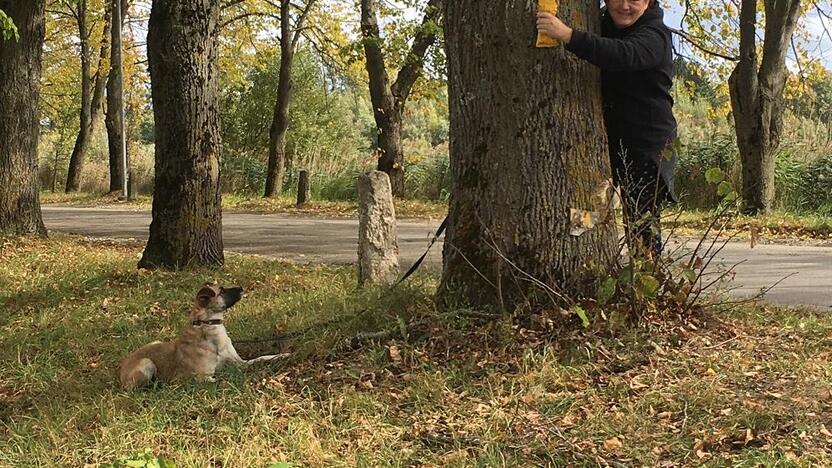 Svajonė: padėdama beglobiams šunims L.Pauliukevičiūtė tiki atperkanti bent mažą žmonių kaltės prieš gyvūnus dalį.