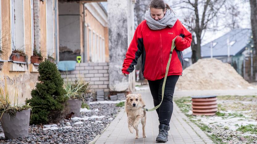 Kauno prieglaudas perpildė beglobiai gyvūnai