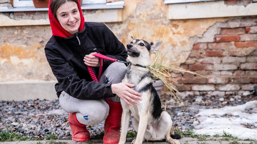 Kauno prieglaudas perpildė beglobiai gyvūnai