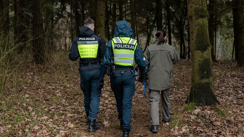 Į Radikius grįžo nelegalūs medžių kirtėjai