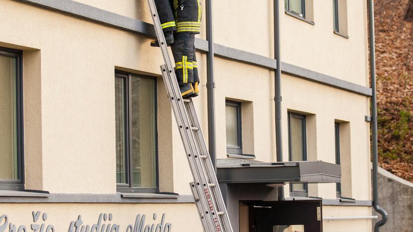 Asilo sulaikymas Žemaičių gatvėje