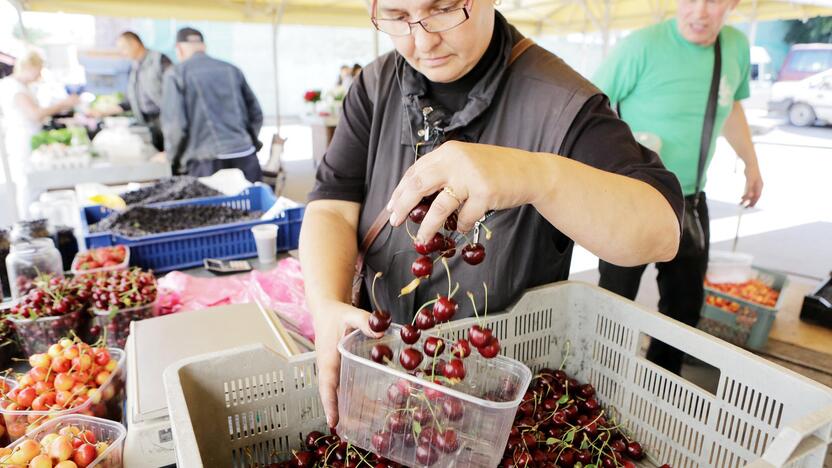 Kaina: šiuo metu už 100 g ispaniškų trešnių saujelę prekybininkai prašo nuo 1,5 iki 1,8 euro.