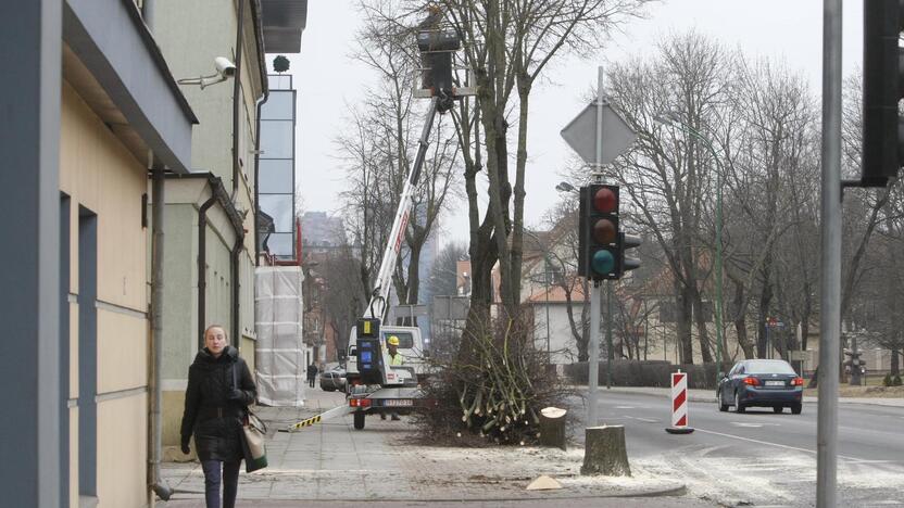 Perpildė: per pirmąjį šių metų ketvirtį miesto želdiniams atkurti į specialią savivaldybės sąskaitą jau yra sumokėta beveik 200 tūkst. litų.