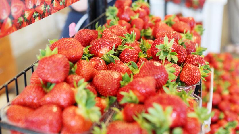 Neįperkama: braškių kainų metamorfozės verčia aikčioti – pamatę skaičius į šias gėrybes pirkėjai numoja ranka.