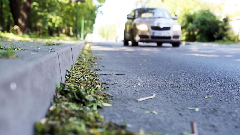 Pastangos: nors miesto tvarkdariai pluša valydami gatves, tačiau visų žiedų sugaudyti nepavyksta.