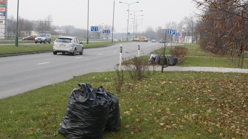 Gudrybė: gyventojai nevengia pakelėse palikti iš savo kiemų sugrėbtų lapų.