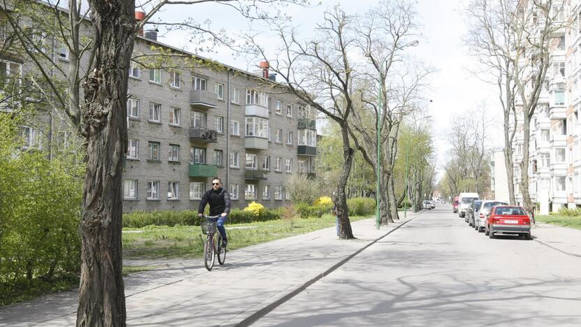 Pokyčiai: Rumpiškės g. gyventojai siūlo iškirsti senus medžius ir vietoje jų pasodinti jaunas akacijas.