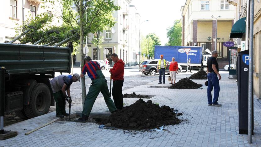 Tęsinys: trečiadienį Vytauto gatvės ruože buvo pasodinti medeliai, dabar darbininkų sulauks važiuojamoji kelio dalis.