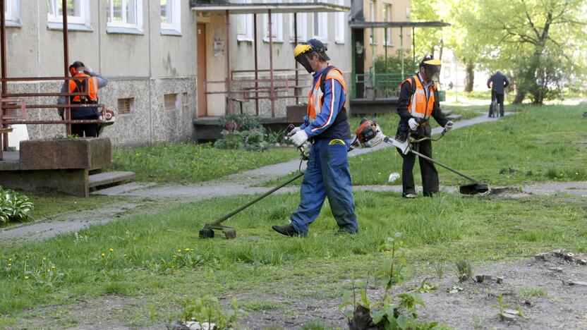 Šienapjūtė: daugiabučių namų kiemuose jau pjaunama žolė.