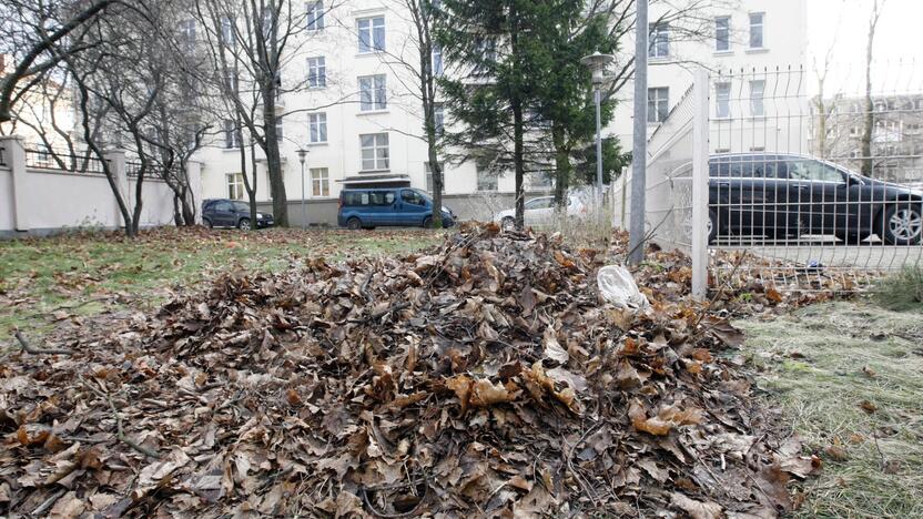 Skundas: Malūnininkų g. buvusios laivininkystės pastato kieme dūlantys lapai siutina aplinkinių namų gyventojus.