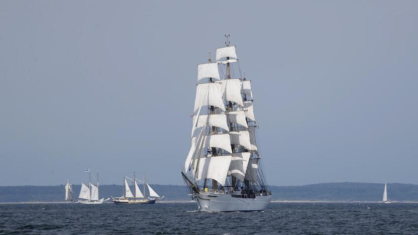 Įvykis: šią vasarą Klaipėdoje lankėsi apie 100 istorinių burlaivių, kurie dalyvavo regatoje "The Tall Ships Races".