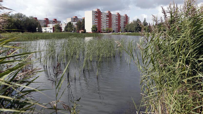 Pageidavimas: nors Žardės tvenkinys prižiūrimas ir valomas, gyventojai norėtų, kad vandens telkiniui ir jo prieigoms būtų skiriama daugiau dėmesio.