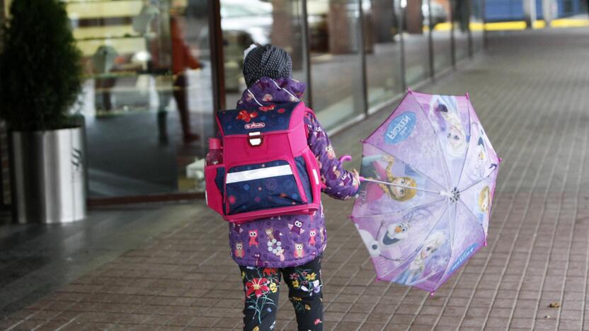 Realybė: šiomis dienomis  pradinių klasių mokinių tėvams patariama atžalas palydėti iki pat klasės durų.