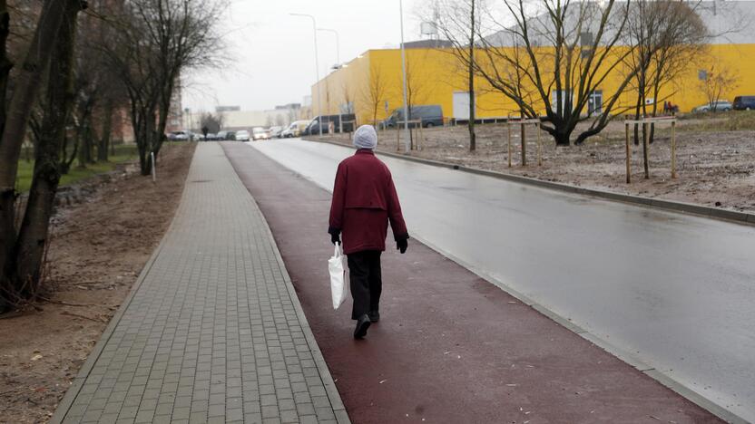 Elektra: sutemus naujoji gatvelė, kuria darželio bei darbo biržos link eina daugybė suaugusiųjų ir vaikų, skendi tamsoje.