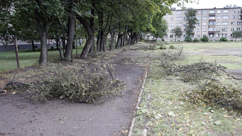 Darbai: palei Vitės progimnazijos stadioną augančių medžių šakas praretino ir vėjas, ir kiemsargis.