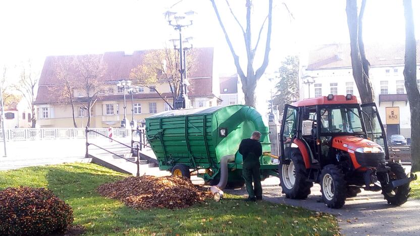 Pastangos: auksinis ruduo džiaugsmo neteikia tik lapų šlavėjams.