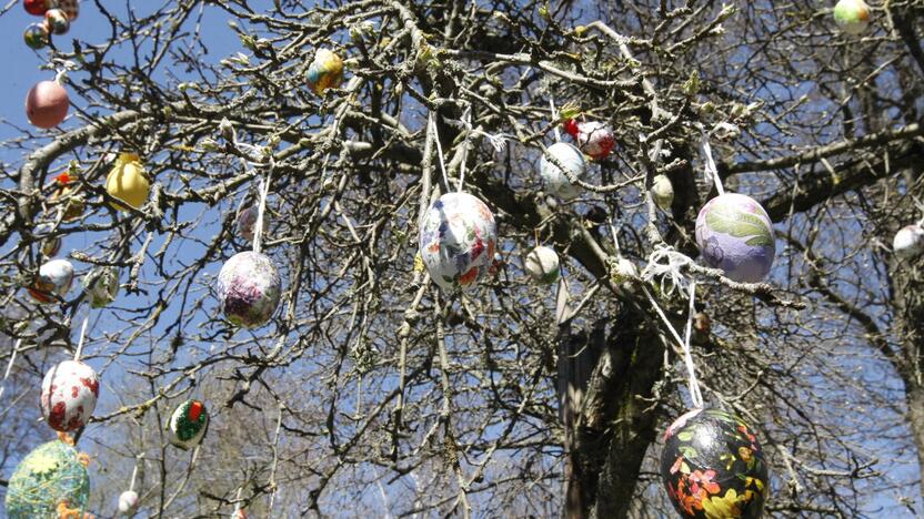 Šventė: artėjant Velykoms, margučiais papuoštas medis džiugina globos namų auklėtinius ir darbuotojus.