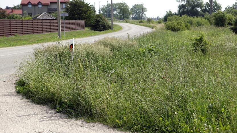 Grėsmė: žmonės baiminasi, kad nešienautoje žolėje ims veistis erkės.