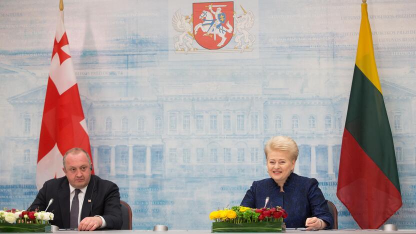 D. Grybauskaitės ir G. Margvelašvilio susitikimas Vilniuje.