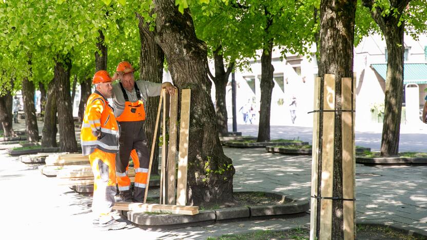 Rekonstrukcijai užtverta Laisvės alėja