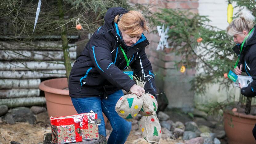 Gyvūnų Kalėdos zoologijos sode